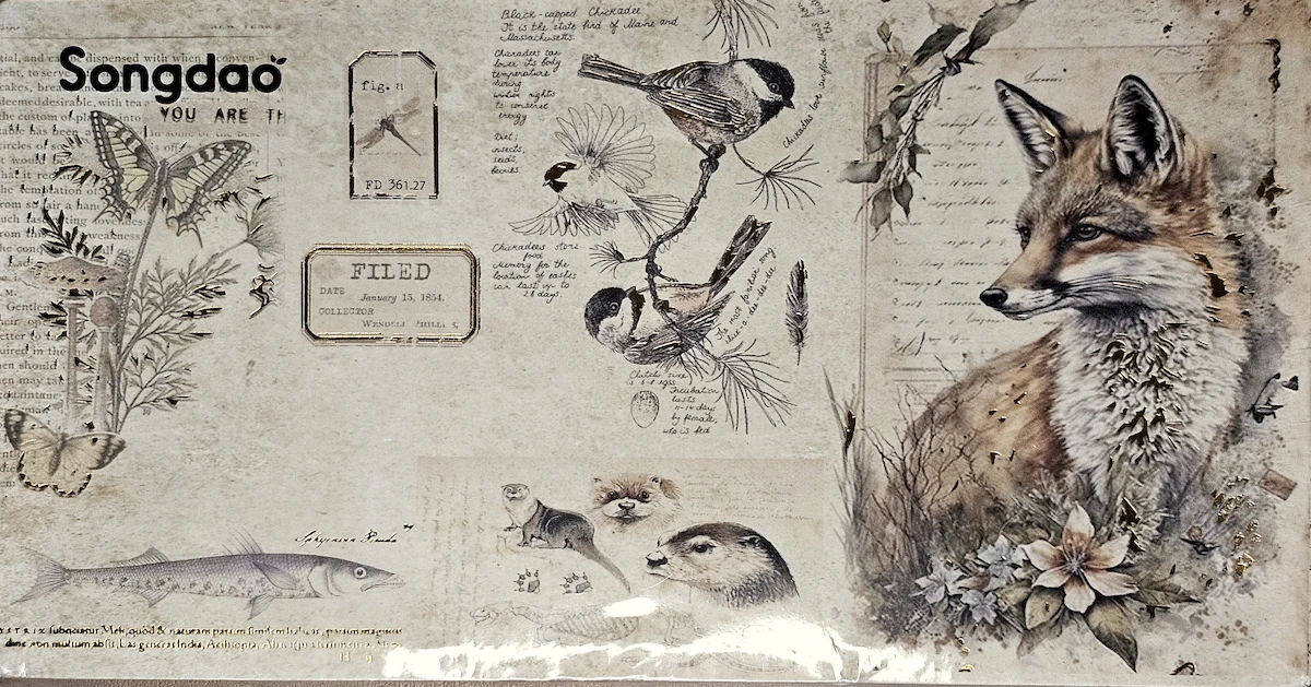 Songdao The Chronicle Collection washi tape, 36 rolls